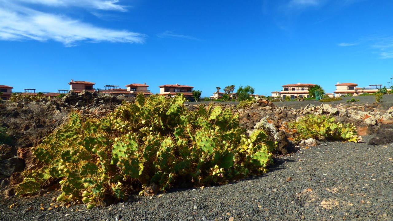 Villa Marta Лахарес Экстерьер фото